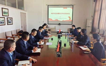 標(biāo)題：銷售黨支部召開(kāi)組織生活會(huì)暨民主評(píng)議黨員會(huì)議
瀏覽次數(shù)：685
發(fā)表時(shí)間：2025-02-26